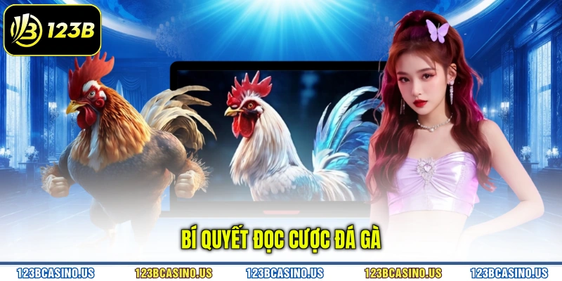 Bí quyết đọc cược đá gà