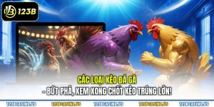 Các Loại Kèo Đá Gà - Bứt Phá, Xem Xong Chốt Kèo Trúng Lớn!