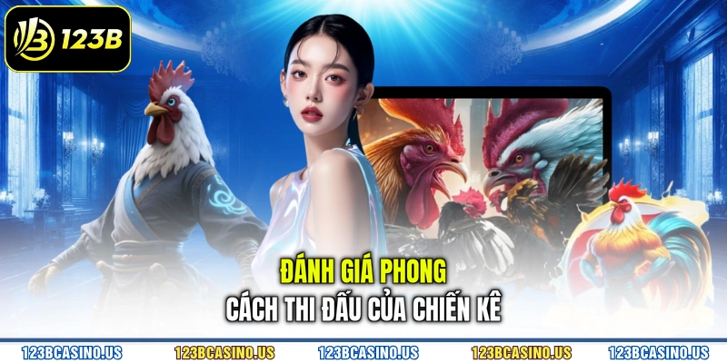 Đánh giá phong cách thi đấu của chiến kê