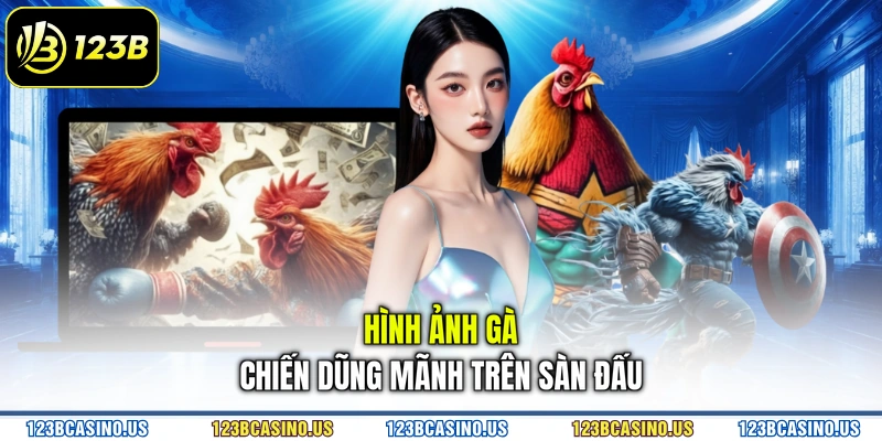 Hình ảnh gà chiến dũng mãnh trên sàn đấu