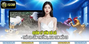 Quản Lý Vốn Đá Gà - Thả Ga Săn Thưởng, Xua Tan Nỗi Lo
