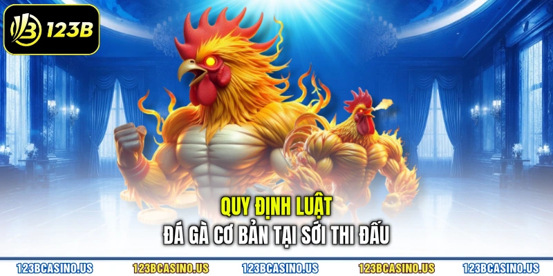Quy định luật đá gà cơ bản tại sới thi đấu