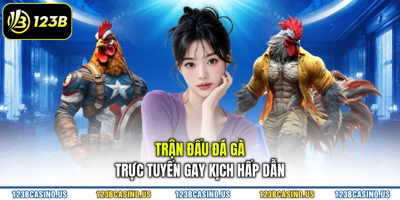 Trận đấu đá gà trực tuyến gay kịch hấp dẫn