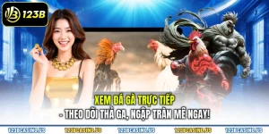 Xem Đá Gà Trực Tiếp - Theo Dõi Thả Ga, Ngập Tràn Mê Ngay!